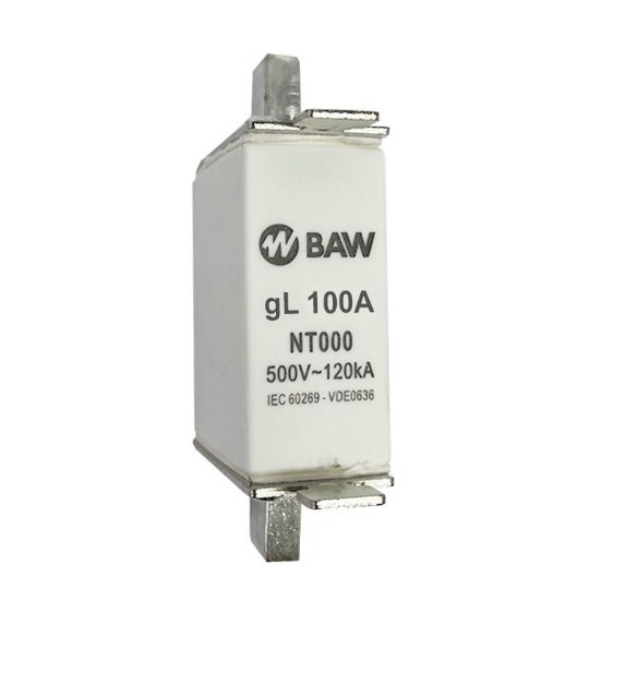 FUSIBLE ACR NT000 100A BAW