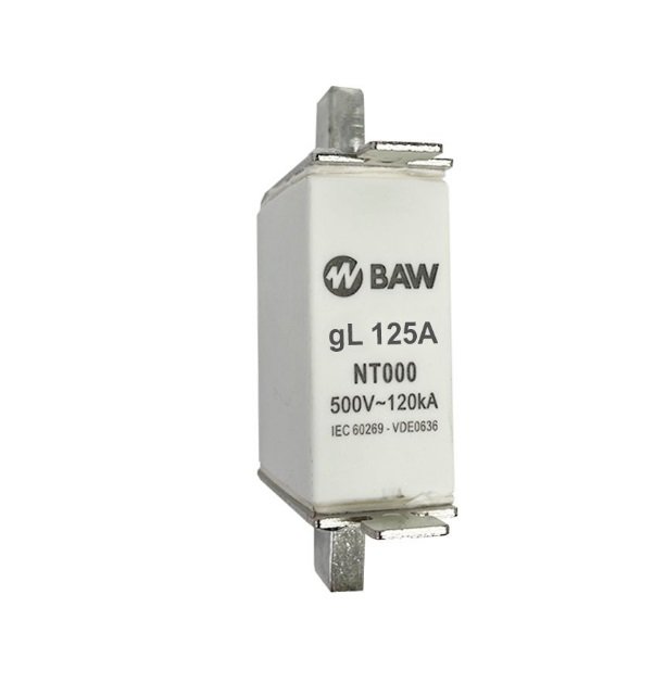 FUSIBLE ACR NT000 125A 100KA BAW