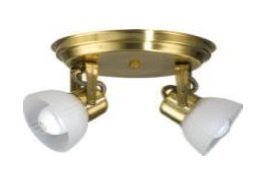 SPOT FERROLUX SR-210 - TULIP DALI / BCO-NGR