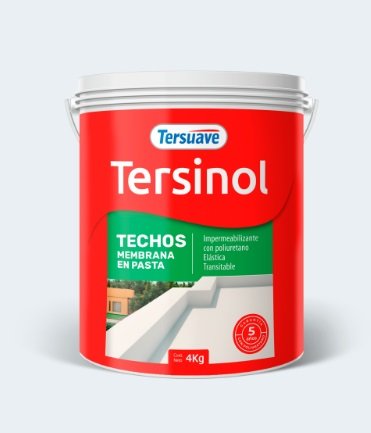 TERSINOL TECHOS MEMB PASTA BLANCO 10KG