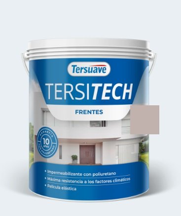 TERSITECH FRENTES BEIGE TOSTADO  4LTS
